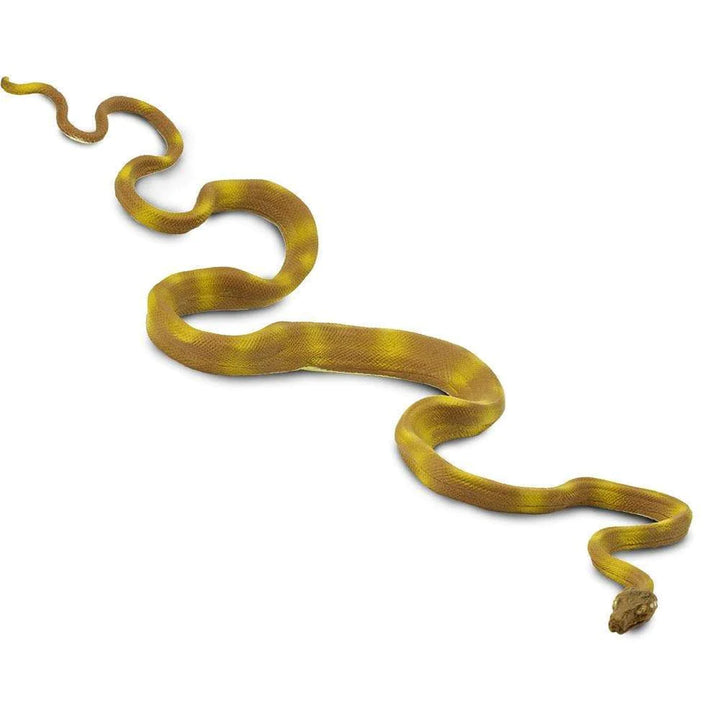 amazon-tree-boa-